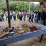 Mutirão de castração gratuita em Taió: inscrições encerram hoje (04)