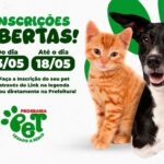 Com onda de frio intenso, Assistência Social orienta municípios sobre abertura de abrigos temporários