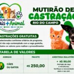 Polícia Civil prende suspeito de tráfico de drogas após denúncia em Laurentino