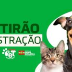 Vereador cobra explicações da Celesc sobre postes no novo trevo do Caça, em Taió