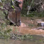 Chuva persistente e intensa é prevista para o sábado, em Santa Catarina