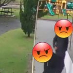 Camionete sai da pista na SC-114 entre Pouso Redondo e Taió
