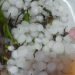 Santa Terezinha promove reunião sobre a Feira da Agricultura Familiar