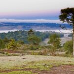 Furto na Capela Mortuária Campo Santo causa prejuízos em Taió