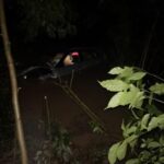 Mulher procurada por tráfico de drogas é presa durante fiscalização em Ituporanga