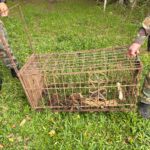 Barragem Oeste de Taió segue reduzindo volume armazenado e chega a 34%