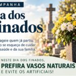 MPF instaura inquérito para apurar dano ambiental causado por barragem em Vitor Meireles