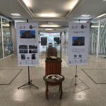 FREIAVI celebra 25 anos de história e compromisso com a educação infantil