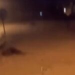 Taió promove tarde de diversão para celebrar o Dia das Crianças