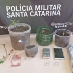 Agricultura familiar fortalece renda de cerca de 300 famílias em Canoinhas