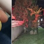 Filho é preso após agredir e ameaçar matar o próprio pai de 64 anos em Mafra