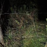 Filho é preso após agredir e ameaçar matar o próprio pai de 64 anos em Mafra