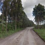 Canoinhense de 47 anos morre após briga por dívida de R$ 750 em São Francisco do Sul