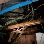 Temporal derruba árvores e poste e interdita acesso em Mafra