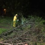 Empresa de móveis de Campo Alegre encerra trajetória de 55 anos após falência e dívida milionária