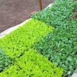 Mafra tem abastecimento de água interrompido após rompimento de adutora