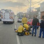 Família procura por três cachorros desaparecidos em Papanduva