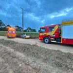 Denúncia de forte cheiro de drogas termina com apreensão de entorpecentes e dinheiro em Mafra