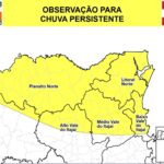 Lealdade e parceria: cão policial Colt atua ao lado de PMs em Mafra e região