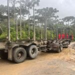 Polícia Ambiental alerta para golpe com PIX no Planalto Norte