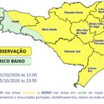Mãe é conduzida à delegacia após criança de 5 anos ser encontrada sozinha em via pública em Porto União