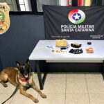 Tombamento de caminhão deixa dois homens feridos em Canoinhas