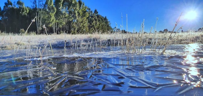 Forte frio faz lago ficar congelado em São Joaquim na Serra Catarinense