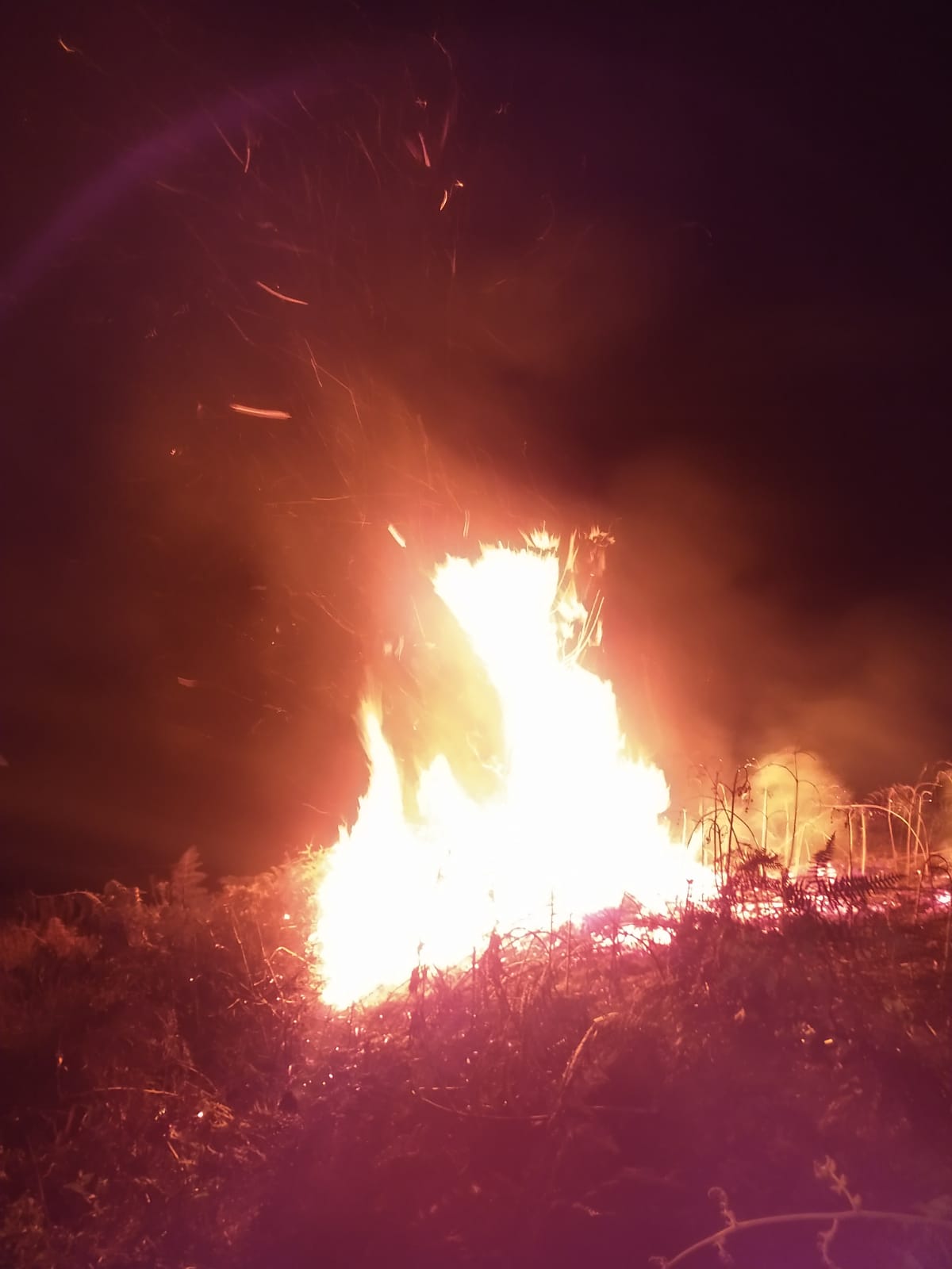 Incêndio em vegetação é registrado no Alto Vale