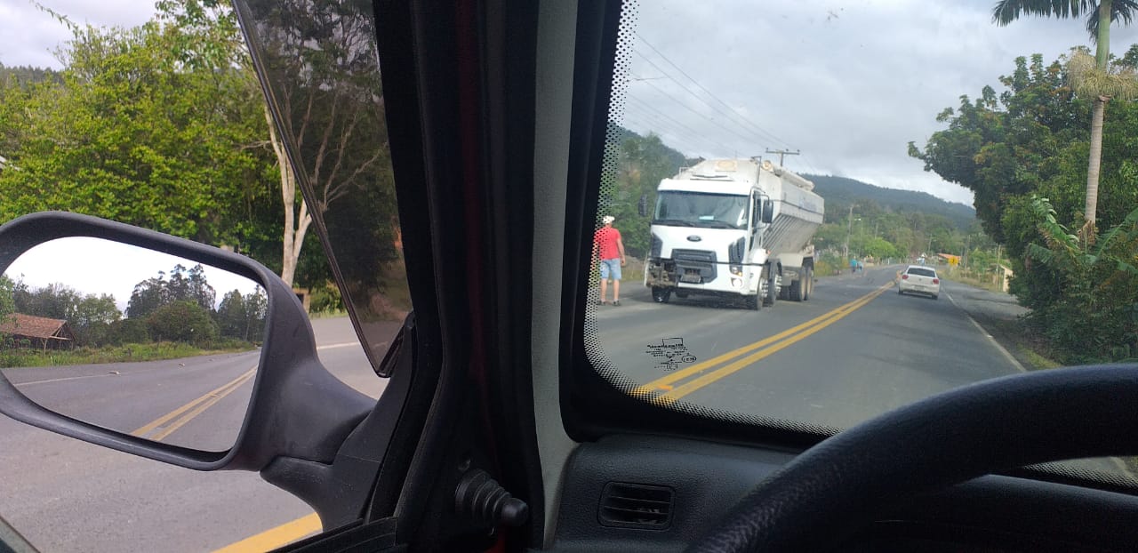 Caminhão atropela vaca no Passo Manso, em Taió