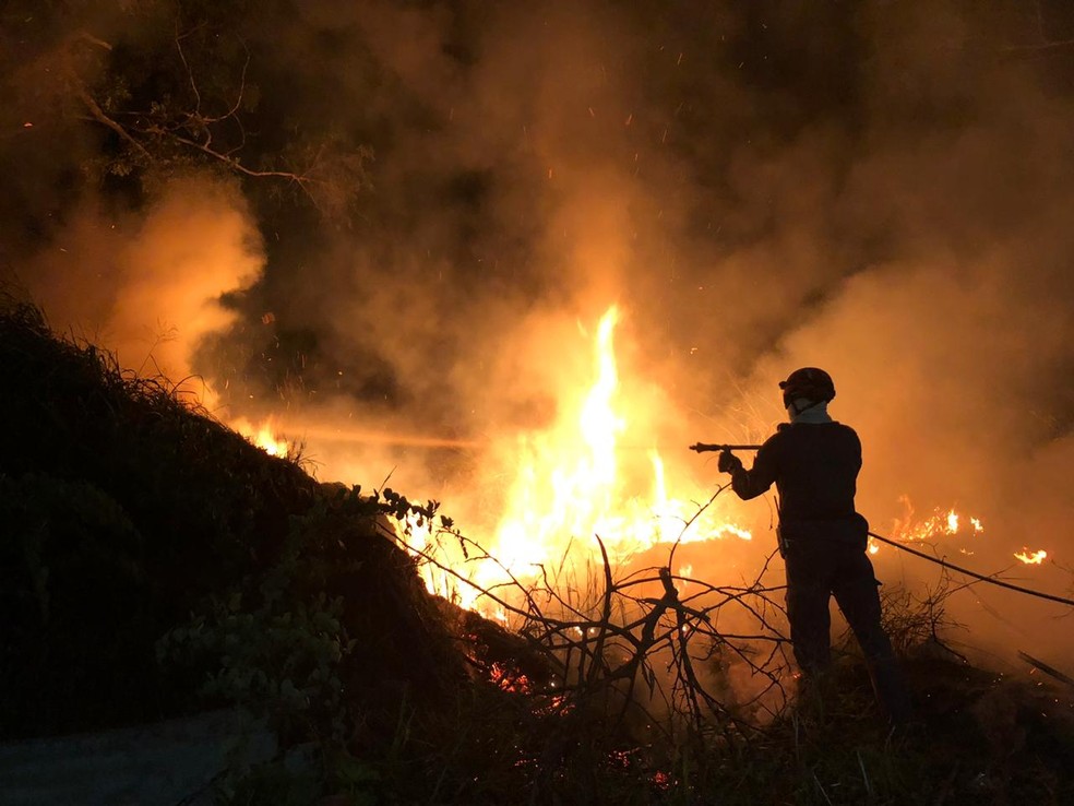 Incêndio de grande proporção atinge área de vegetação em Pouso Redondo