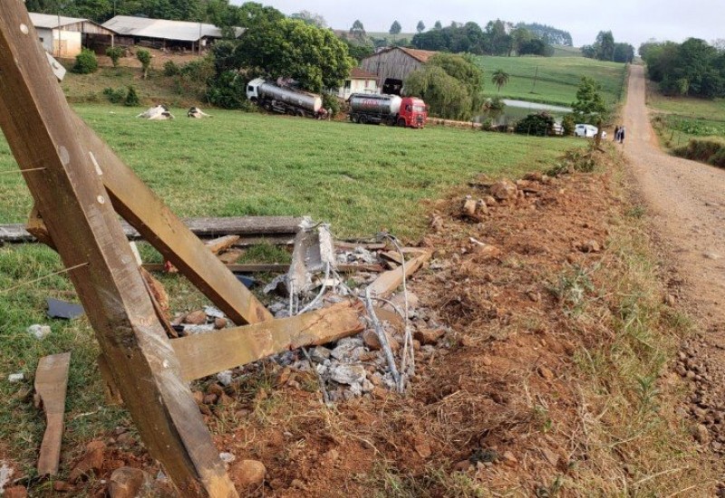 Duas vacas morrem eletrocutadas após caminhão derrubar poste de energia em SC