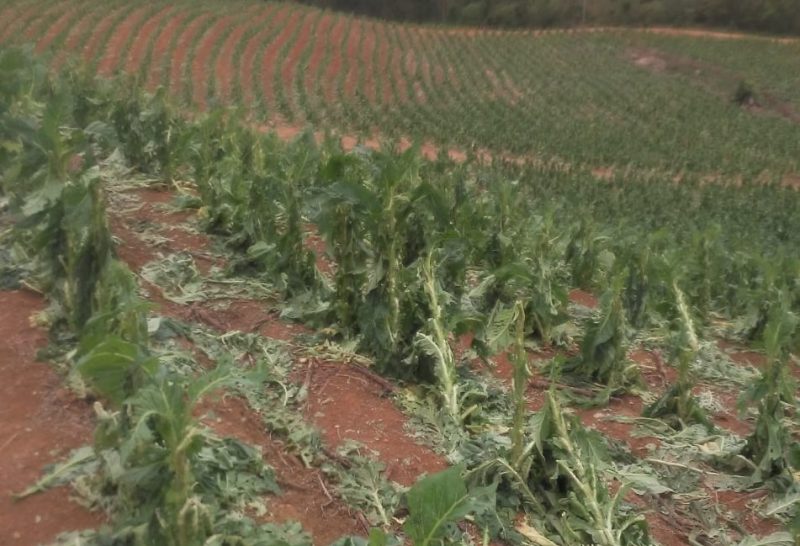 SC disponibiliza R$ 1 milhão para auxiliar produtor rural atingido por eventos climáticos