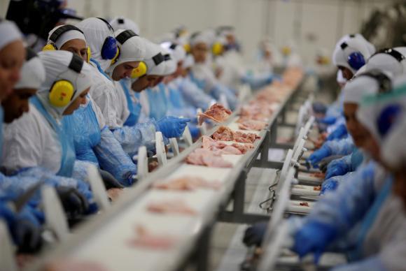 China proíbe importação de carne suína de frigorífico de Santa Catarina