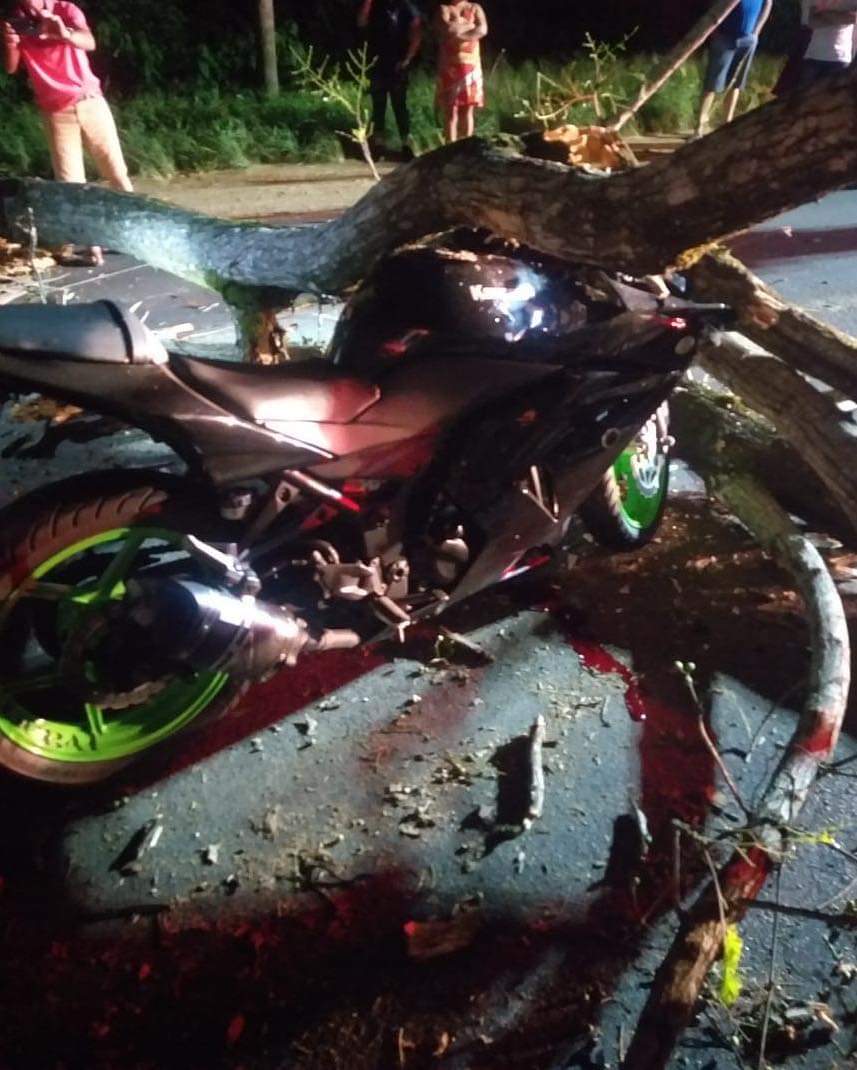 Motociclista fica gravemente ferido após colidir contra árvore na BR-470