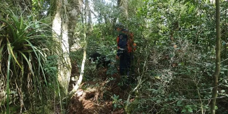 Adolescente de 14 anos morta em SC foi encontrada amarrada em árvore