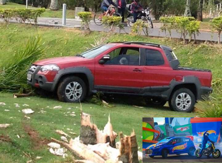 Cachorra assume o volante após carro colidir em canteiro do Beto Carrero em SC