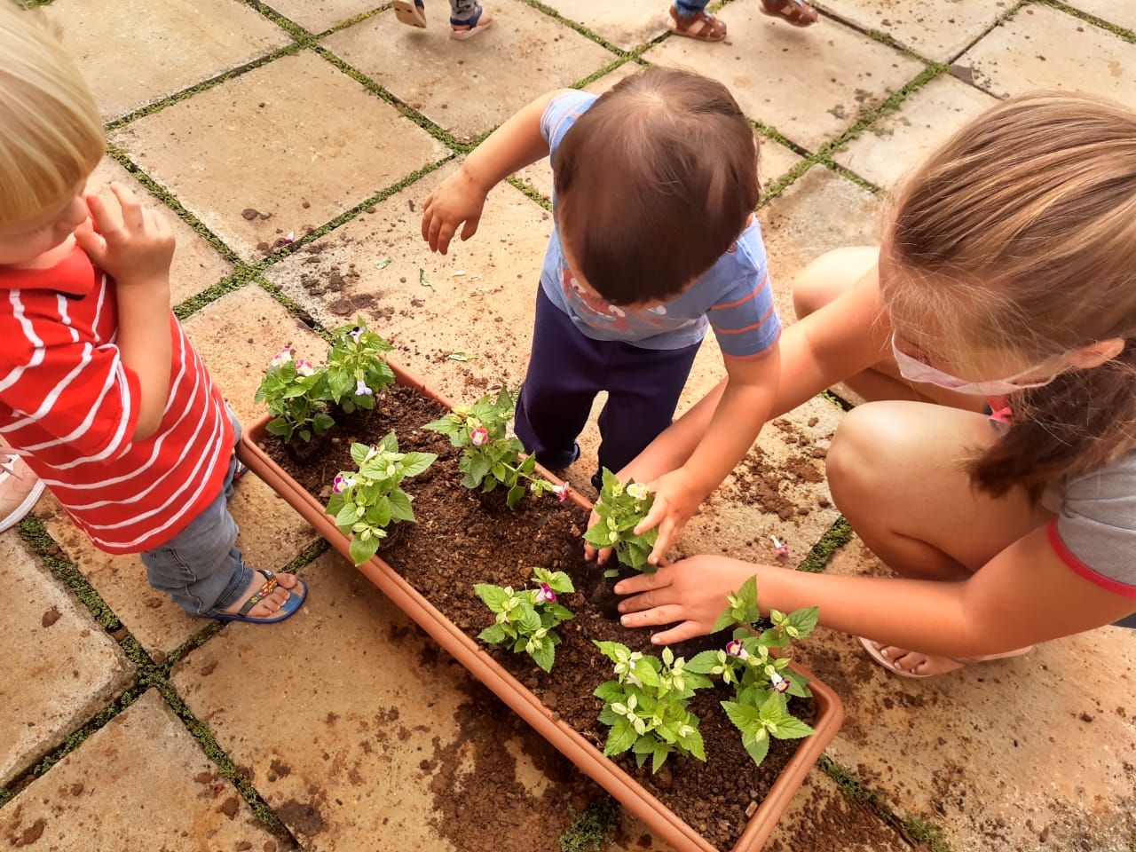 Centro de Educação Infantil desenvolve “Projeto Horta e Jardim”, em Taió