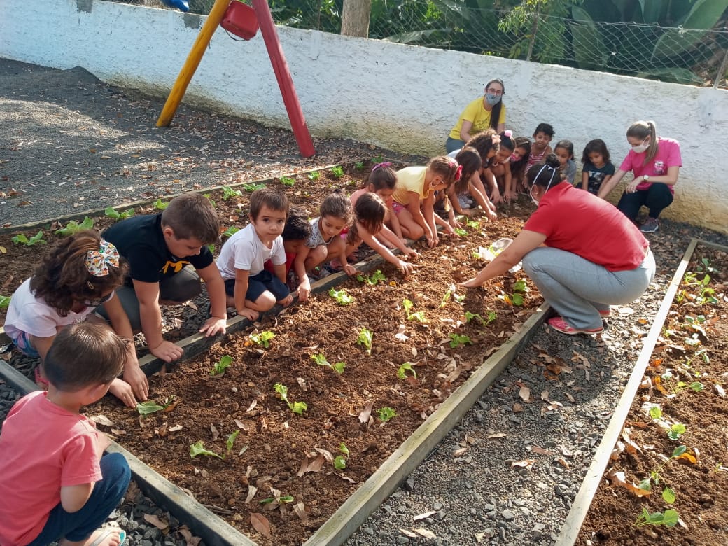 Centro de Educação Infantil desenvolve o Projeto Alimentação Saudável, em Taió