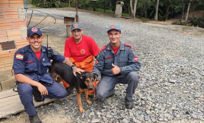Bombeiros resgatam cachorro perdido no Alto Vale