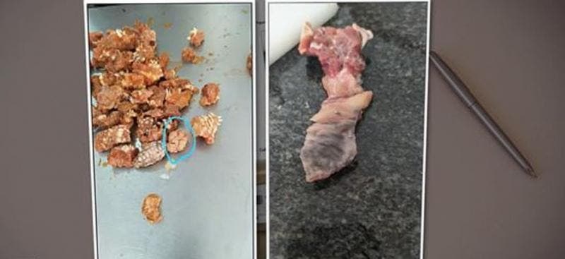 Carne estragada servida a detentas e funcionários de presídio é alvo de investigação policial em SC