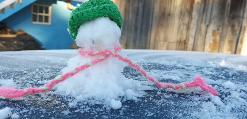 Vai nevar em SC? Fotos de bonecos de neve “bizarros” voltam a viralizar após frio congelante