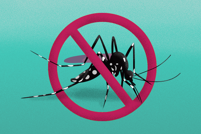 Foco de ‘mosquito da dengue’ é confirmado no Alto Vale
