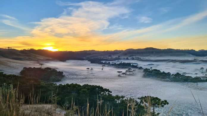 CONFIRA AS FOTOS: Dia mais frio do ano tem geada intensa e imagens de tirar o fôlego na Serra Catarinense