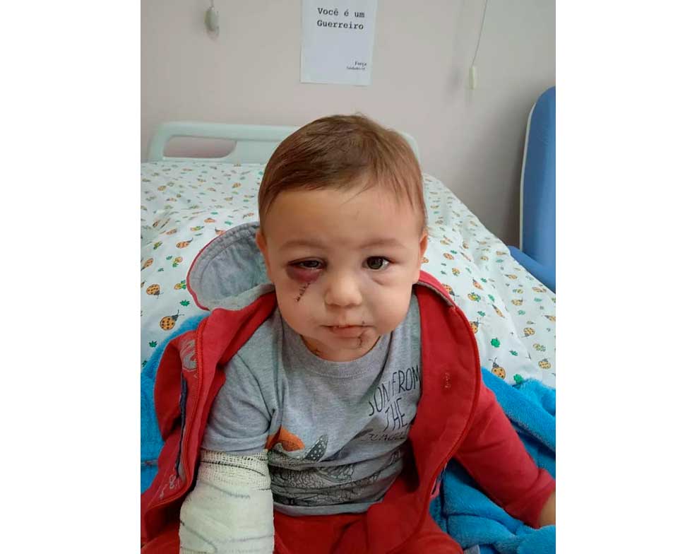 Hospitalizado, bebê ferido em ataque a creche de SC tem cartaz de incentivo: ‘Você é um guerreiro’