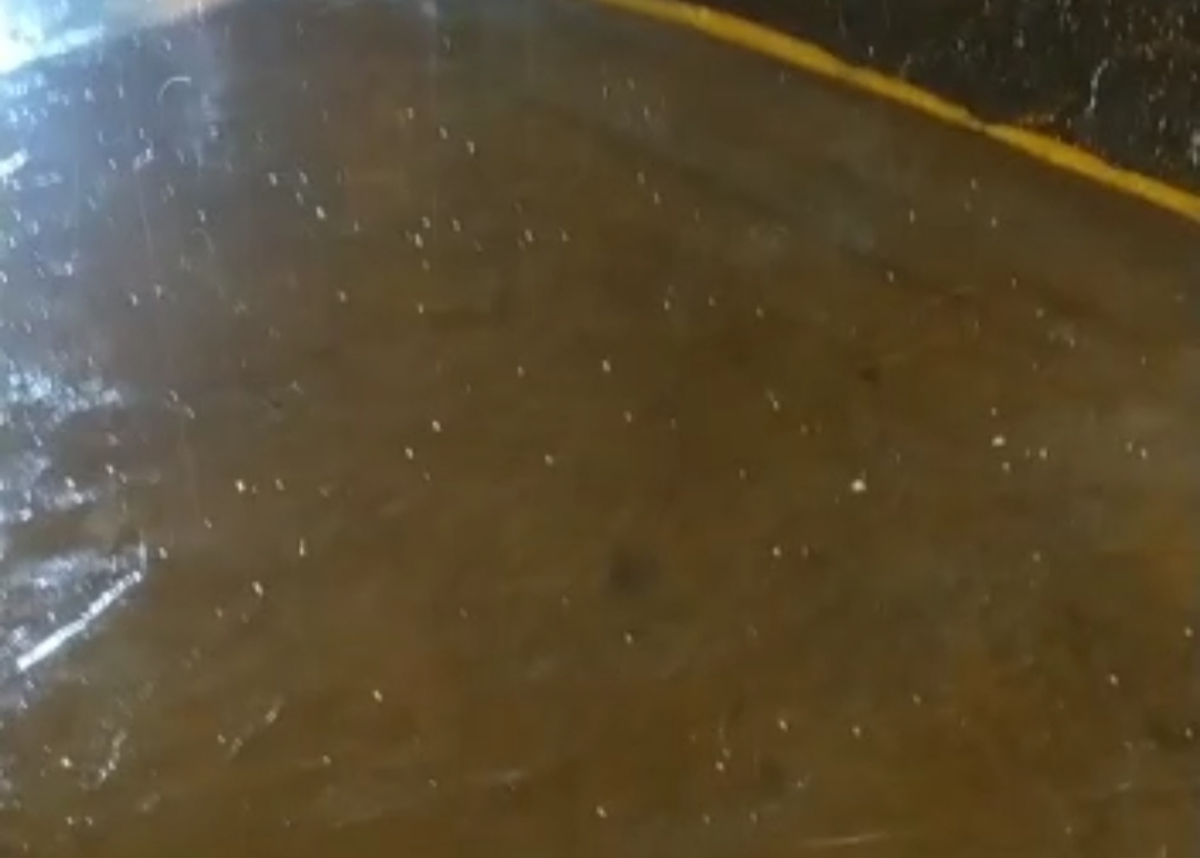 Chuva congelada é registrada em Salete; veja o vídeo
