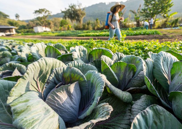 Prefeitura de Taió promove encontro sobre compras públicas por meio da Agricultura Familiar
