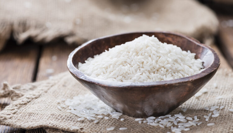 Apesar de redução na área cultivada, safra de arroz se mantém em SC