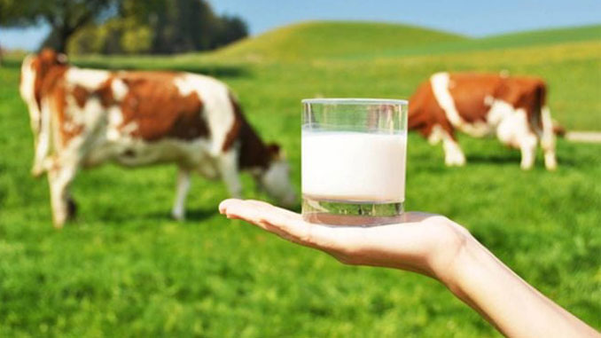 Preço do leite tem alta ao produtor