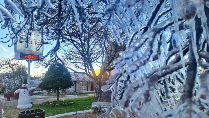 Confira as 30 cidades de SC que amanheceram com temperaturas abaixo de zero