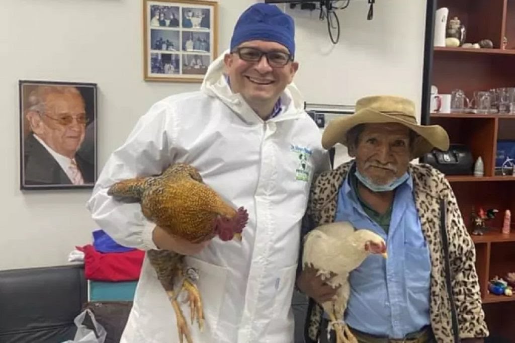 Médico ganha galinhas como presente por cirurgia